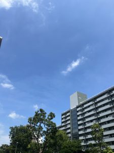 IMG_5338